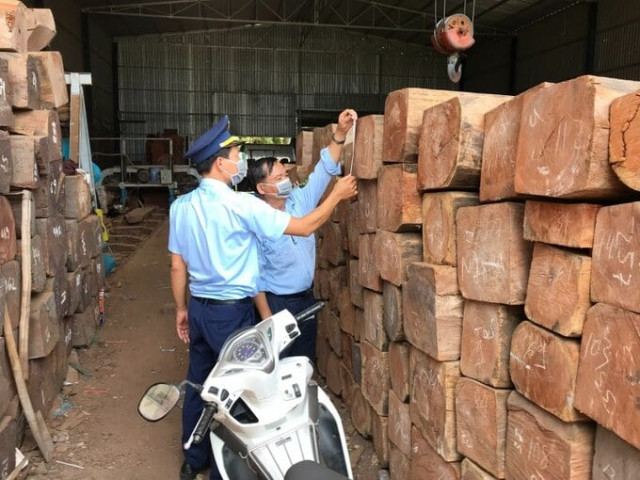 Tiền Giang xử phạt 60 triệu đồng cơ sở chế biến lâm sản, tịch thu số gỗ đỏ quý hiếm