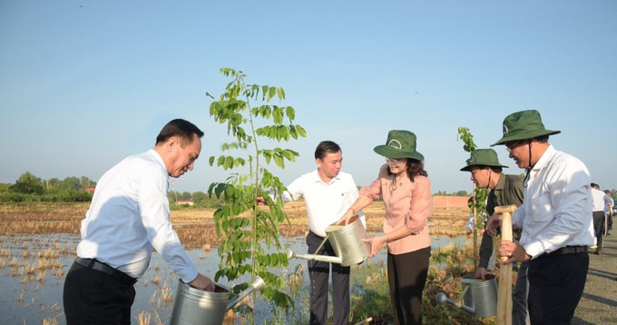 Bạc Liêu phát động trồng cây, trồng rừng nhân kỷ niệm 133 năm ngày sinh Chủ tịch Hồ Chí Minh