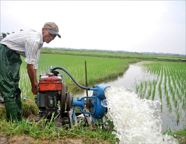 Quảng Ngãi triển khai các biện pháp cấp bách ứng phó với nguy cơ nắng nóng, hạn hán, thiếu nước, xâm nhập mặn