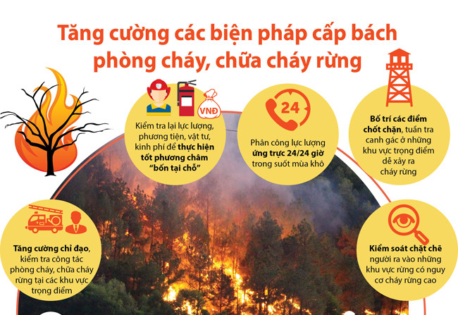 Công điện của Thủ tướng Chính phủ về việc tăng cường các biện pháp cấp bách phòng cháy, chữa cháy rừng