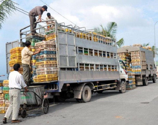 Khánh Hòa ngăn chặn các trường hợp vận chuyển trái phép gia cầm qua biên giới vào Việt Nam
