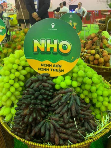 Ninh Thuận: Hơn 30 gian hàng tham gia Lễ hội trái cây huyện Ninh Sơn