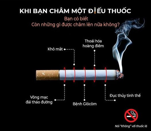 Ngày Thế giới không thuốc lá 31/5: Thuốc lá có thể gây ra nhiều bệnh lý nguy hiểm về mắt