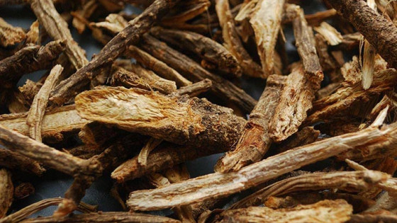 Công dụng và bài thuốc từ cây phòng phong