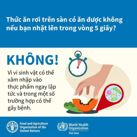 Hỏi đáp kiểm tra kiến thức của bạn về thực phẩm an toàn