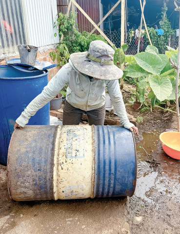 Lâm Đồng chủ động phát hiện và loại bỏ ngay nơi sinh sản của muỗi truyền bệnh sốt xuất huyết