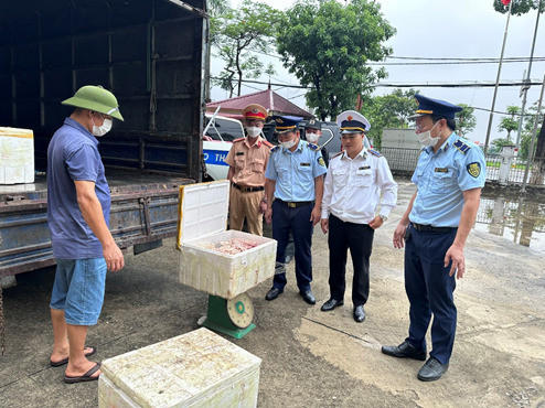Phú Thọ phát hiện xe ô tô tải vận chuyển 119kg nội tạng động vật không rõ nguồn gốc xuất xứ