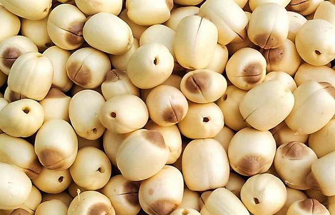 Hạt sen là thực phẩm bồi bổ sức khỏe tuyệt vời