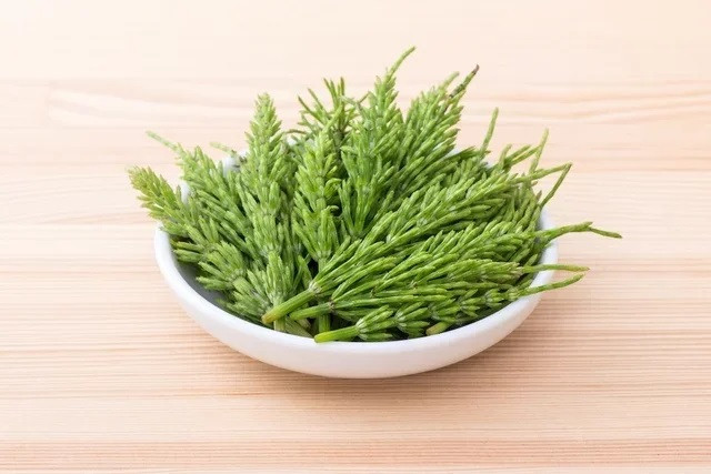 Tác dụng của trà đuôi ngựa