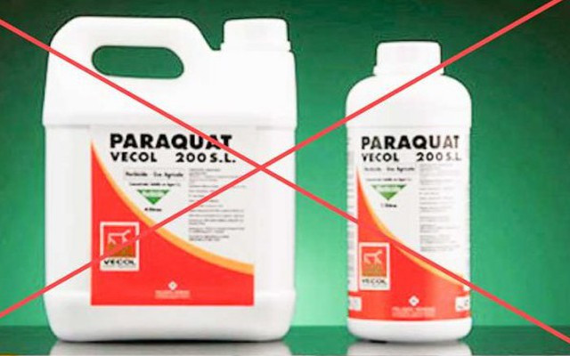 3 cách phòng ngừa ngộ độc paraquat