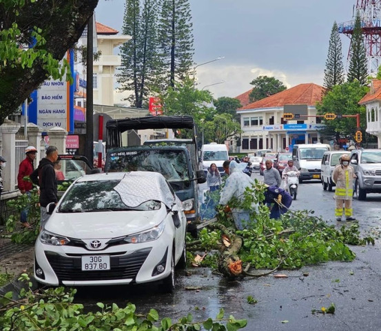 Lâm Đồng chủ động ứng phó để hạn chế thiệt hại, ảnh hưởng do thiên tai