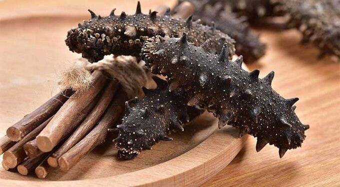 Bài thuốc, món ăn chữa bệnh từ hải sâm