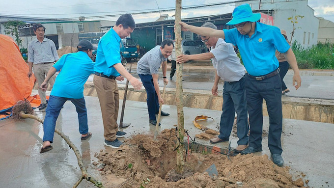 Lâm Đồng hưởng ứng chương trình trồng 4,8 triệu cây xanh