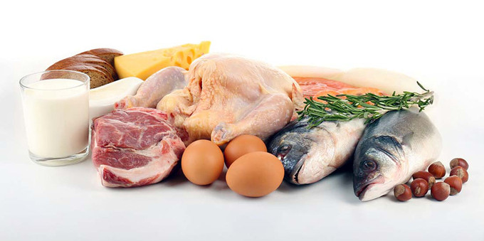 Muốn có tuổi già khỏe mạnh, mỗi bữa ăn cần đủ đạm