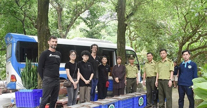 Hải Dương bàn giao 25 cá thể khỉ quý hiếm tại chùa Nhẫm Dương về Vườn quốc gia Vũ Quang