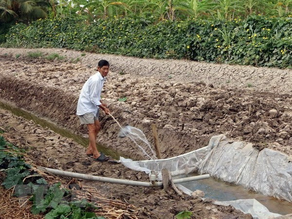 Quảng Bình chủ động triển khai các phương án phòng, chống hạn hán, thiếu nước, xâm nhập mặn