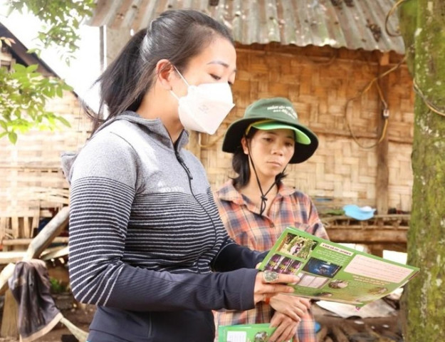 Đắk Lắk: Bệnh nhi 7 tuổi tử vong do sốt xuất huyết Dengue