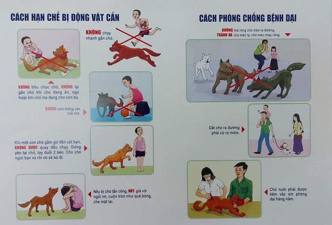 Gia Lai triển khai các giải pháp phòng, chống dịch bệnh dại trên địa bàn tỉnh