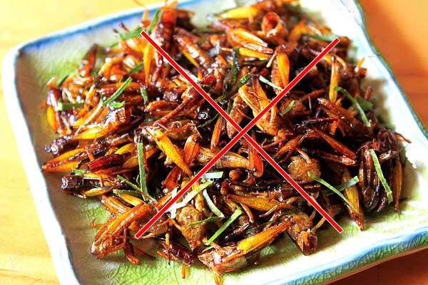 Phú Thọ cấp cứu trường hợp bị sốc phản vệ sau khi ăn châu chấu rang