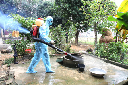 Quảng Ngãi tăng cường công tác phòng, chống dịch bệnh do muỗi truyền vì hiện tượng El Nino