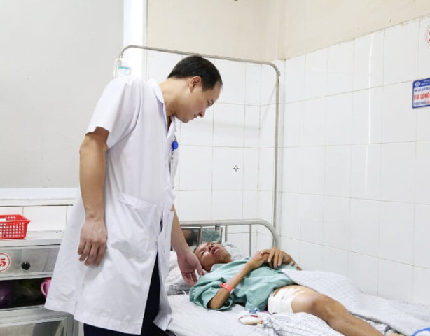 Phú Thọ: Một người đàn ông bị bò tấn công gây đa chấn thương được cấp cứu kịp thời