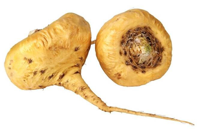 Tác dụng của maca Peru giúp tăng cường sinh lực và thể lực