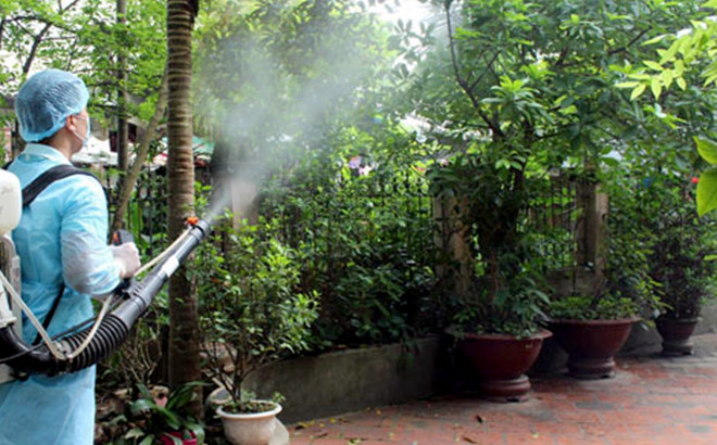 Yên Bái chỉ đạo tăng cường công tác phòng, chống dịch bệnh do muỗi truyền vì hiện tượng El Nino