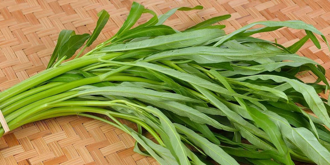 Bài thuốc điều trị bệnh từ rau muống