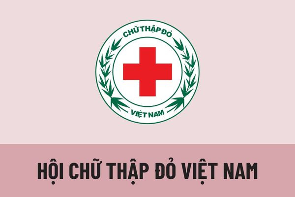 Đổi mới mạnh mẽ nội dung, phương thức hoạt động chữ thập đỏ và công tác nhân đạo