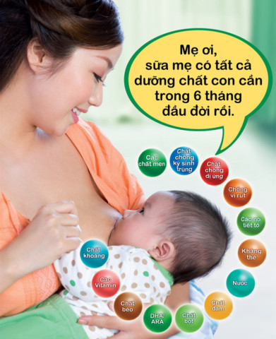 Cao Bằng hưởng ứng Tuần lễ Thế giới nuôi con bằng sữa mẹ từ ngày 1-7/8