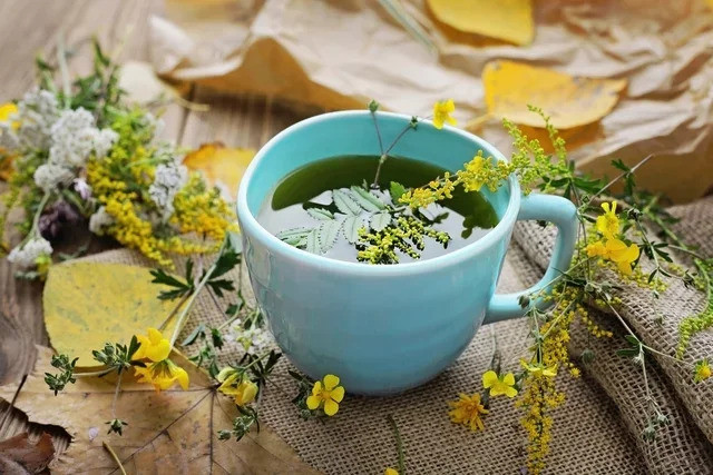 8 biện pháp khắc phục tại nhà để điều trị trào ngược dạ dày