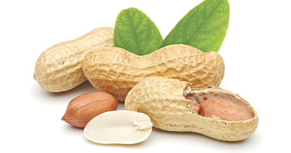 Bài thuốc điều trị bệnh từ đậu phộng