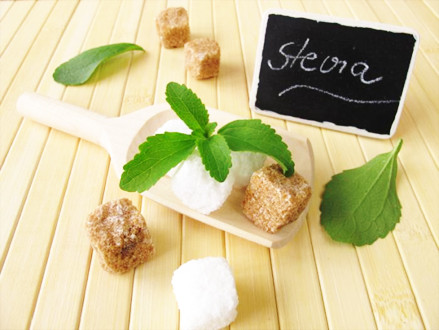 Những thành phần giúp giảm béo an toàn và hiệu quả