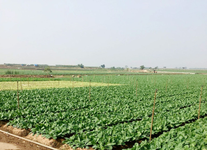 Bắc Giang tập trung ứng phó, khắc phục hậu quả mưa lũ, sạt lở đất, đá, ngập lụt, bảo đảm an toàn hồ đập