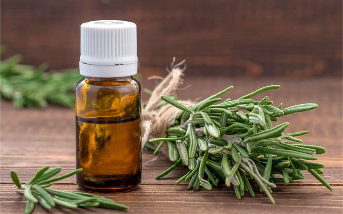 Tinh dầu hương thảo giúp trẻ em tăng cường trí nhớ
