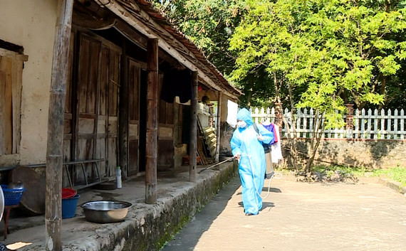 Ninh Bình tăng cường công tác phòng, chống dịch bệnh sốt xuất huyết