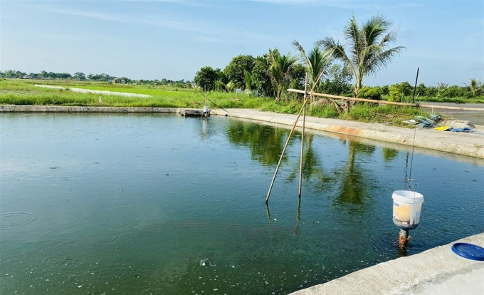 Hải Dương: Hai ông cháu ở xã Hồng Đức đuối nước tử vong tại ao nuôi chạch