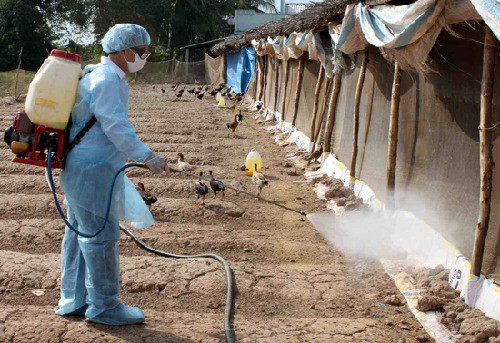 Lào Cai triển khai Tháng tổng vệ sinh, khử trùng, tiêu độc môi trường đợt 2 năm 2023