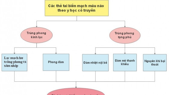 Chuyên gia lý giải sơ cứu tai biến mạch máu não bằng Y học cổ truyền