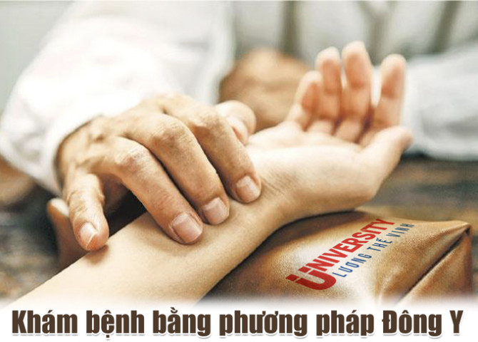 Hướng dẫn quy trình khám bệnh theo phương pháp Y học cổ truyền
