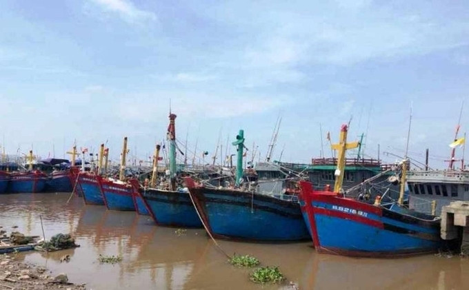 Hải Phòng chủ động ứng phó với bão gần biển Đông (bão Saola)