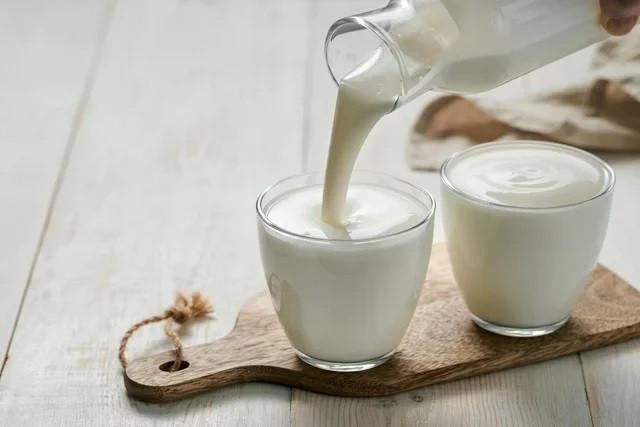 12 lợi ích của Probiotic với sức khoẻ