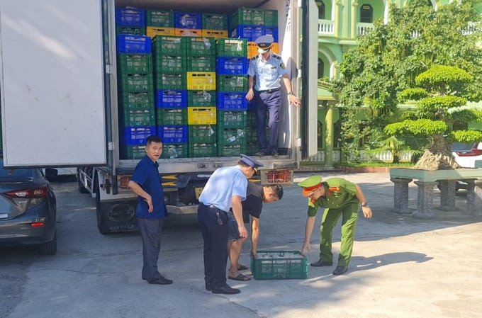 Nghệ An phát hiện ô tô tải vận chuyển 8 tấn thịt gà đông lạnh không rõ nguồn gốc xuất xứ