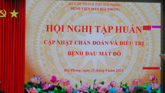 Hải Phòng: chủ động, tăng cường phòng, chống bệnh đau mắt đỏ