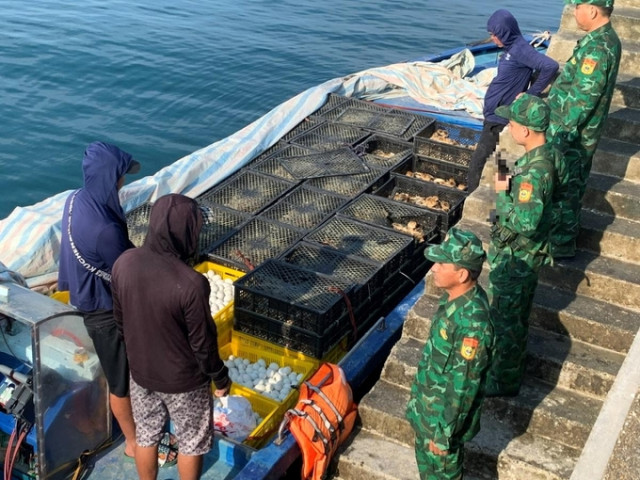 Bắc Giang: Ngăn chặn, xử lý nghiêm các trường hợp vận chuyển trái phép gia cầm, sản phẩm gia cầm