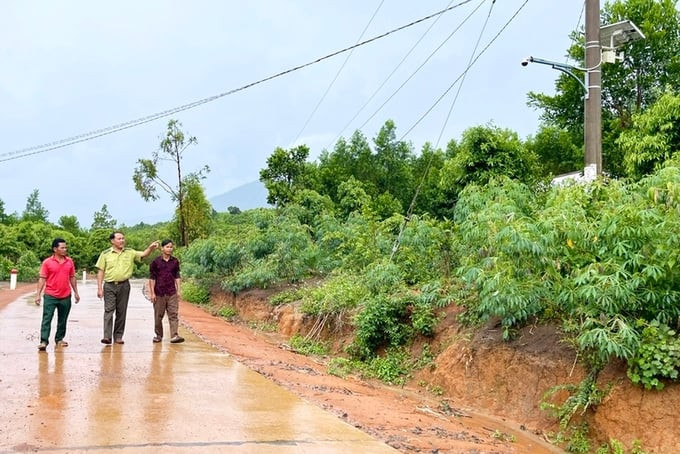 Gia Lai tăng cường công tác quản lý, bảo vệ rừng trên địa bàn tỉnh