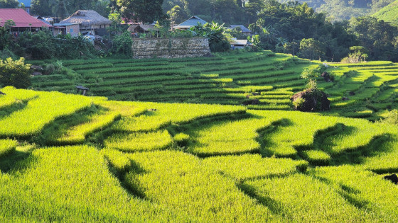 Ghé thăm Bá Thước, nơi có “thiên đường giữa đại ngàn” xứ Thanh