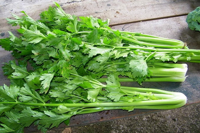 Thực phẩm giàu chất xơ, ít calo giúp đào thải mỡ, giảm cân