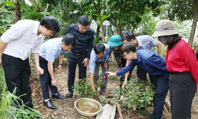 Hà Tĩnh xuất hiện ổ dịch sốt xuất huyết Dengue đầu tiên