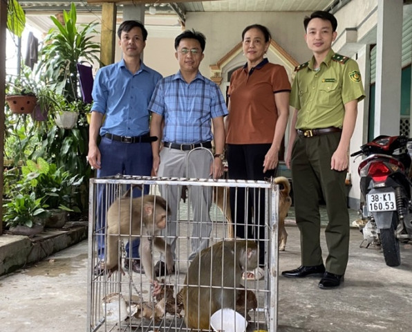 Hà Tĩnh bàn giao cá thể khỉ và trăn đất cho Vườn Quốc gia Vũ Quang